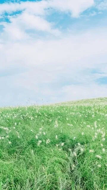 高清美女壁纸 图片3