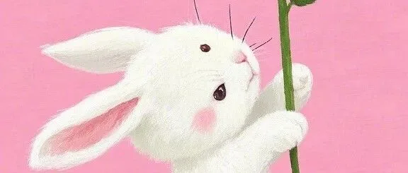 送花插画壁纸3.23分享 清新治愈系美图收藏