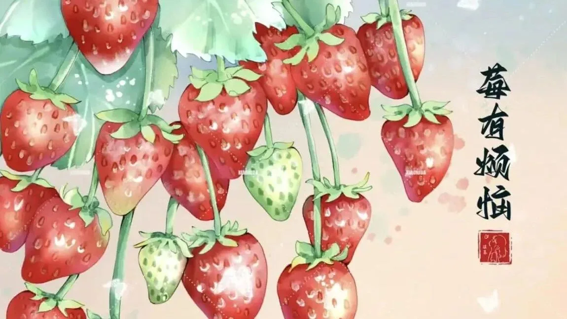 清新水果插画壁纸合集 手机桌面换新装