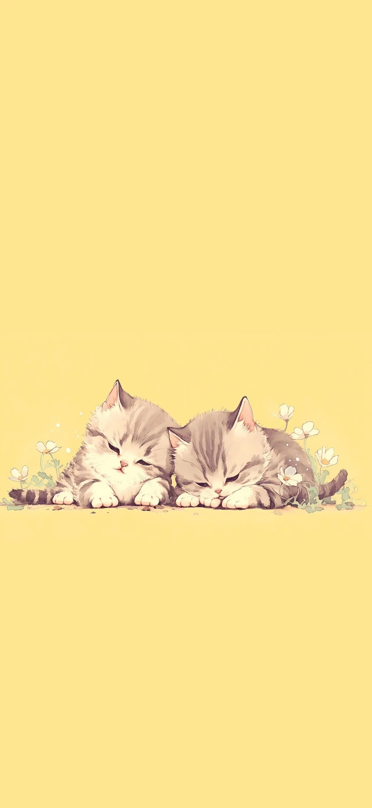 可爱猫咪壁纸 图片5