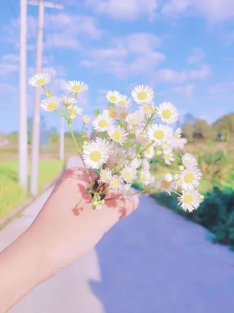 高清美女壁纸 图片4