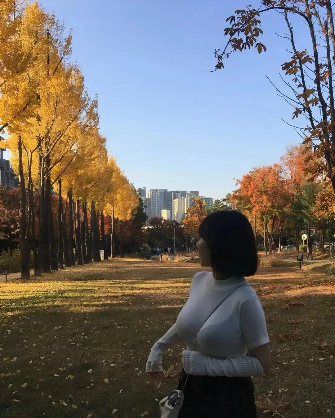 秋日氛围感写真 图片4