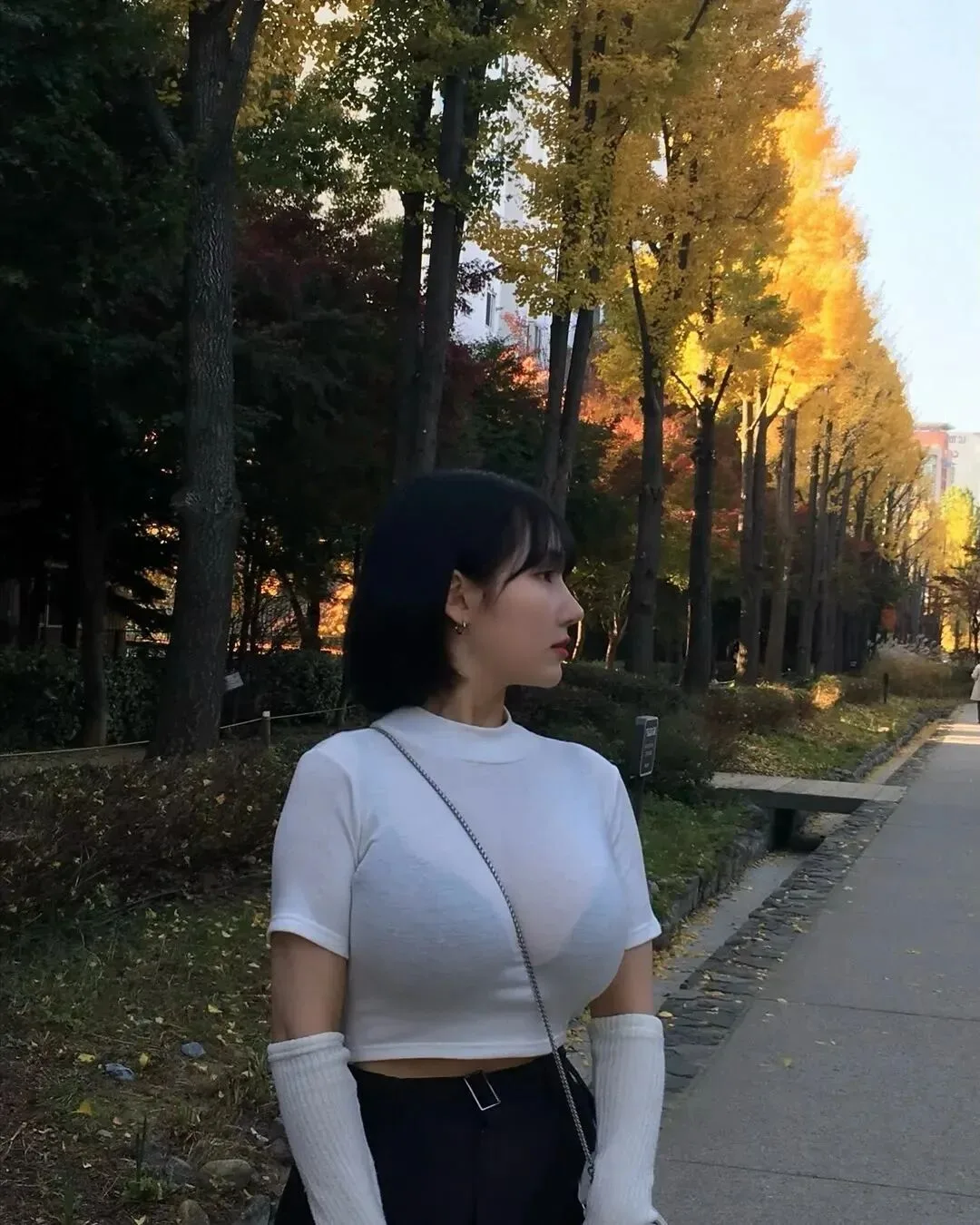 秋日氛围感写真 图片2