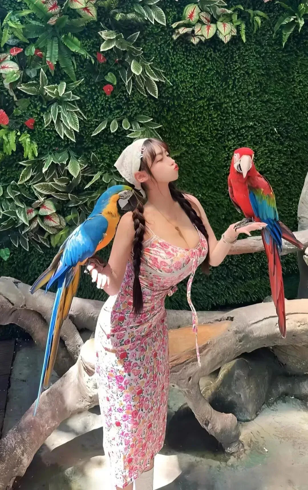 性感美女写真 图片2