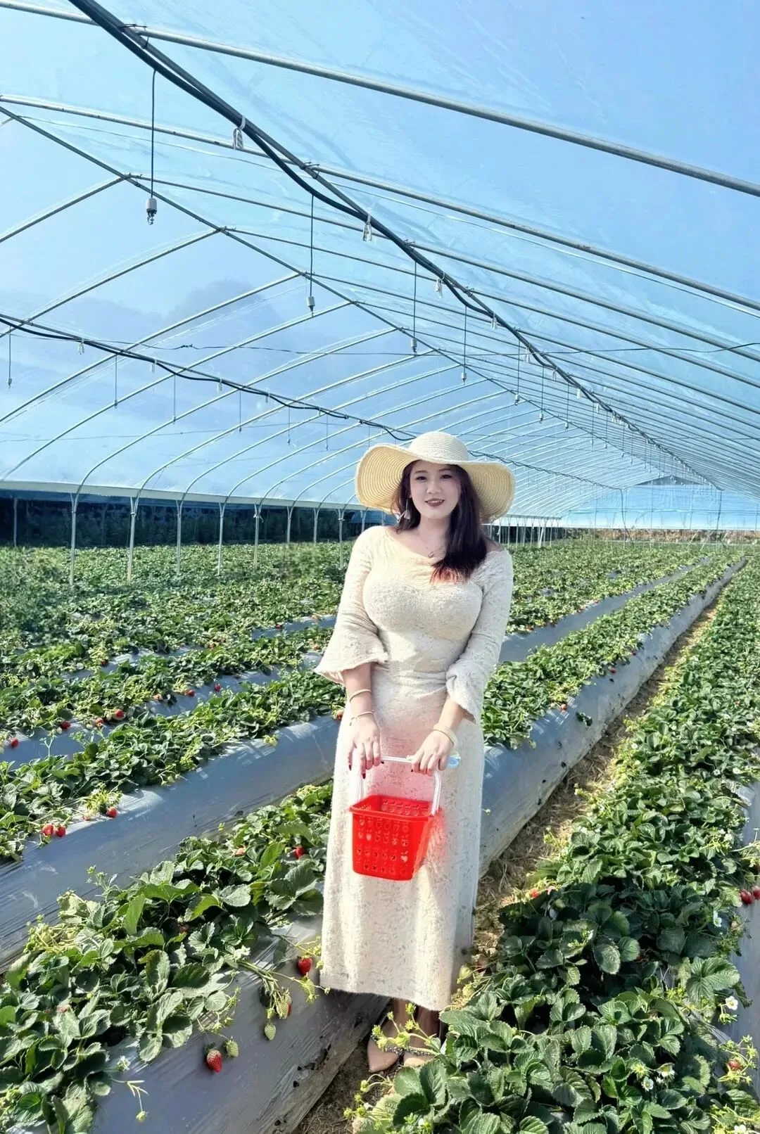 草莓园丰满少妇写真 图片2