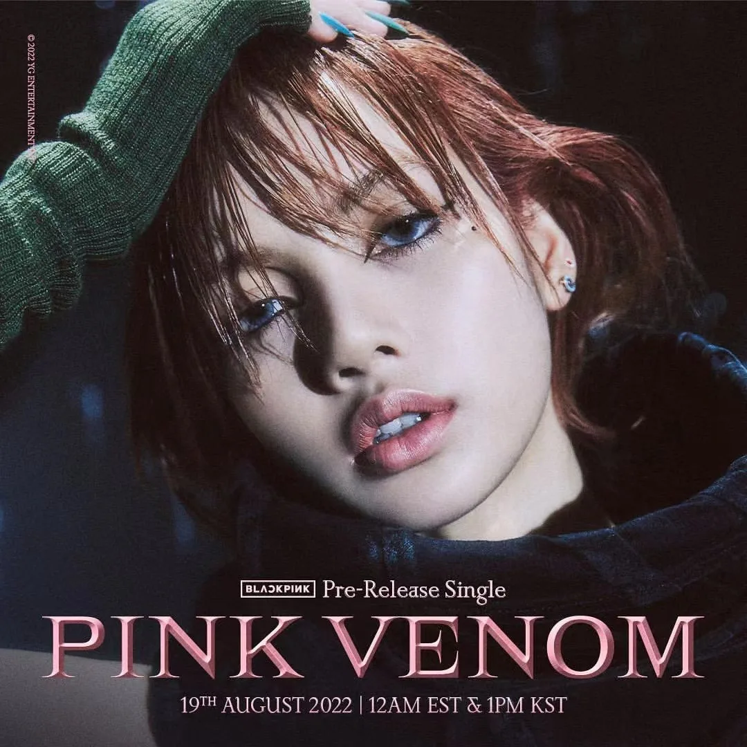 BLACKPINK新专辑图片 图片4