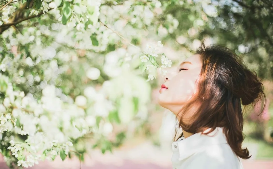 知性优雅美女写真 图片8
