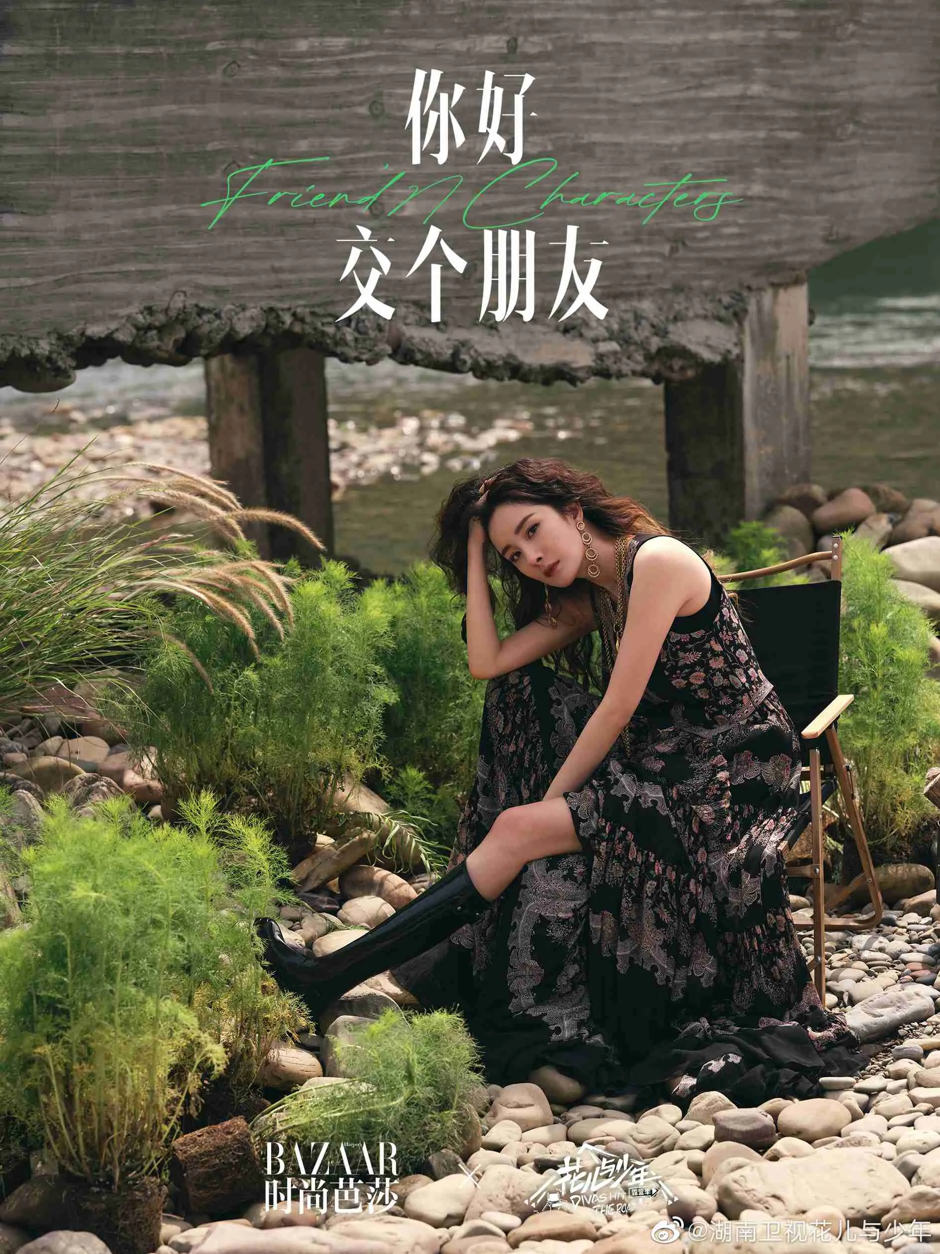 明星露营写真 图片6